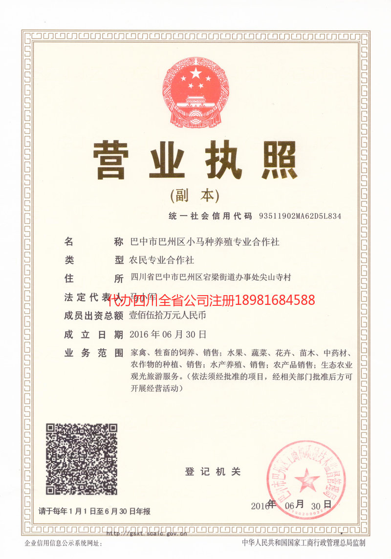 金口河金口河小马种养殖专业合作社